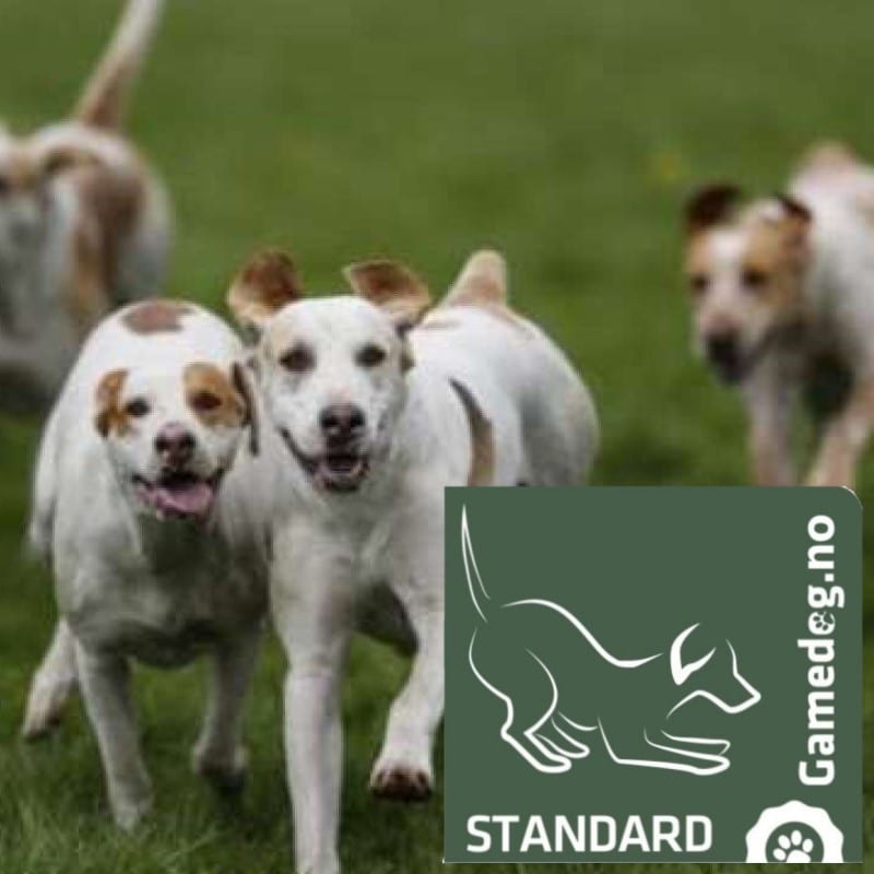 Gamedog Standard