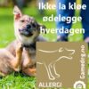 Gamedog Allergi Gamedog Allergi