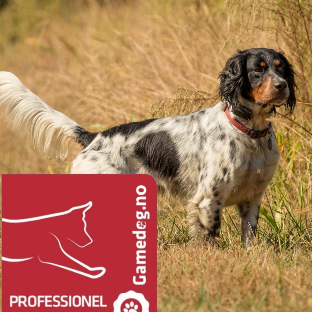 Gamedog Profesjonell