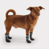 Go Fresh PET BOOTIES®-helårs støvler til hund Go Fresh PET BOOTIES®-helårs støvler til hund