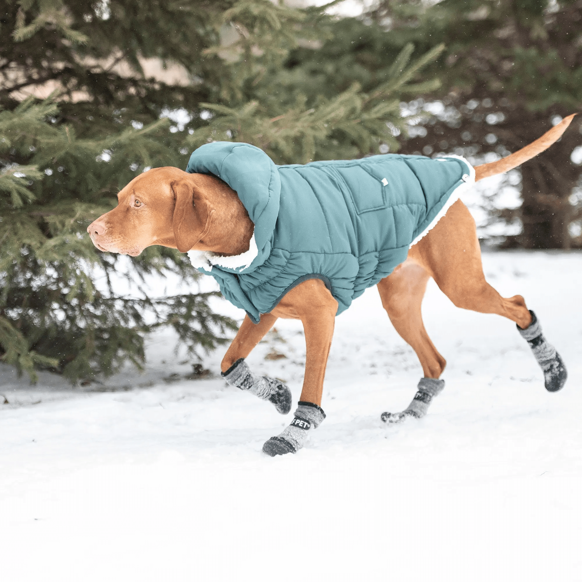 Go Fresh PET BOOTIES®-helårs støvler til hund