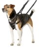 Halti No Pull - Antitrekksele Halti No Pull - Antitrekksele