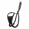 Halti No Pull - Antitrekksele Halti No Pull - Antitrekksele