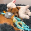 Afp Little Buddy hjerteslag Hundeleke, beroligende sau Afp Little Buddy hjerteslag Hundeleke, beroligende sau