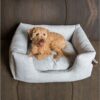 Hundeseng Fantail Snooze Origin