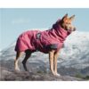 Hurtta Expedition Parkas Vinterdekken Hund Hurtta Expedition Parkas Vinterdekken Hund