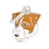 Myfamily Jack Russell terrier Myfamily Jack Russell terrier