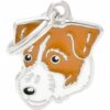 Myfamily Jack Russell terrier Myfamily Jack Russell terrier