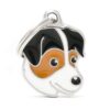 Myfamily Jack Russell terrier Myfamily Jack Russell terrier