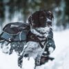 Non-Stop Dogwear Amundsen Kløv til hund Non-Stop Dogwear Amundsen Kløv til hund