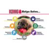 Kong Puppy Aktivitetsleke Kong Puppy Aktivitetsleke