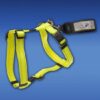 Bilselefeste Rogz 4,5 cm sort Bilselefeste Rogz 4,5 cm sort