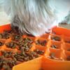 Lickimat matplate slow feeder 35x26x3cm Lickimat matplate slow feeder 35x26x3cm