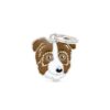 Myfamily Australian shepherd IDtag Myfamily Australian shepherd IDtag