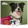 Myfamily Border collie IDtag Myfamily Border collie IDtag