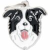Myfamily Border collie IDtag Myfamily Border collie IDtag