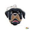 Myfamily Rottweiler IDtag Myfamily Rottweiler IDtag
