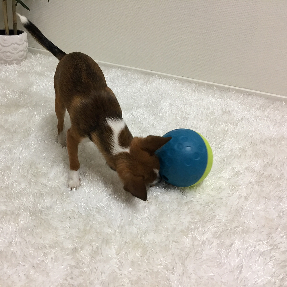 Nina Ottosson Aktivitetsball Treat Tumble