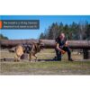 Non-Stop Dogwear Rock Harness Long - Multifunksjonell Hundesele Non-Stop Dogwear Rock Harness Long - Multifunksjonell Hundesele