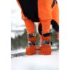Non-Stop Dogwear Contact Bootie High Høye Potesokker Hund 4pk Non-Stop Dogwear Contact Bootie High Høye Potesokker Hund 4pk