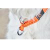 Non-Stop Dogwear Cruise Collar Hundehalsbånd Non-Stop Dogwear Cruise Collar Hundehalsbånd