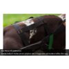 Non-Stop Dogwear Nansen Stick Harness - Pinnesele til hund Non-Stop Dogwear Nansen Stick Harness - Pinnesele til hund