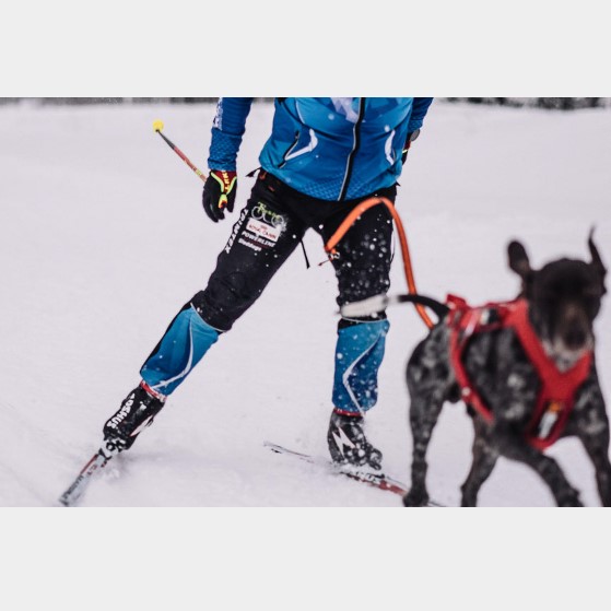 Non-Stop Dogwear Quick Release Hurtigutløser Krok
