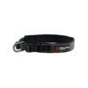 Non-Stop Dogwear Roam Collar - Polstret Hundehalsbånd Non-Stop Dogwear Roam Collar - Polstret Hundehalsbånd