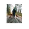 Non-Stop Dogwear Rock Adjustable Leash - Multifunksjonelt Rundt Hundekobbel Non-Stop Dogwear Rock Adjustable Leash - Multifunksjonelt Rundt Hundekobbel