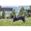 Non-Stop Dogwear Rock Harness Long - Multifunksjonell Hundesele Non-Stop Dogwear Rock Harness Long - Multifunksjonell Hundesele