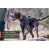 Non-Stop Dogwear Rock Harness Long - Multifunksjonell Hundesele Non-Stop Dogwear Rock Harness Long - Multifunksjonell Hundesele