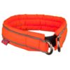 Non-Stop Dogwear Safe Collar Sikkert Hundehalsbånd Non-Stop Dogwear Safe Collar Sikkert Hundehalsbånd