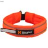 Non-Stop Dogwear Safe Collar Sikkert Hundehalsbånd Non-Stop Dogwear Safe Collar Sikkert Hundehalsbånd