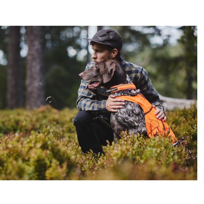Non-Stop Dogwear Safe Collar Sikkert Hundehalsbånd Non-Stop Dogwear Safe Collar Sikkert Hundehalsbånd