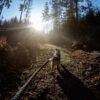 Non-Stop Dogwear Touring Bungee Leash Hundekobbel Strikk Non-Stop Dogwear Touring Bungee Leash Hundekobbel Strikk