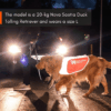 Non-Stop Dogwear Refleksdekken Refleksvest Hund Non-Stop Dogwear Refleksdekken Refleksvest Hund