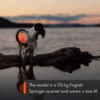 Non-Stop Dogwear Refleksdekken Refleksvest Hund Non-Stop Dogwear Refleksdekken Refleksvest Hund