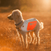 Non-Stop Dogwear Refleksdekken Refleksvest Hund Non-Stop Dogwear Refleksdekken Refleksvest Hund