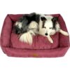 Ozami Saga hundeseng Ozami Saga hundeseng