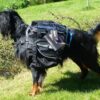 Non-Stop Dogwear Amundsen Kløv til hund Non-Stop Dogwear Amundsen Kløv til hund