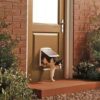 Petsafe katt og småhundsdør orginal Petsafe katt og småhundsdør orginal