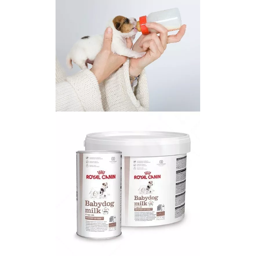 Royal Canin Morsmelkerstatning 400g