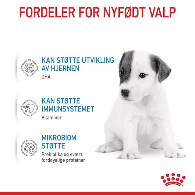Royal Canin Morsmelkerstatning 400g