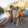 Ruffwear Approach Dog Pack Kløv Oransje Ruffwear Approach Dog Pack Kløv Oransje