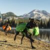 Ruffwear Approach Dog Pack Kløv Grønn Ruffwear Approach Dog Pack Kløv Grønn