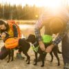 Ruffwear Approach Dog Pack Kløv Grønn Ruffwear Approach Dog Pack Kløv Grønn