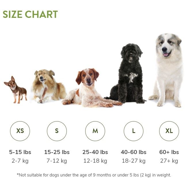 Whimzees Alligator i pose 360 g Whimzees Alligator i pose 360 g