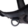 Seleverkstedet Comfort dog harness Seleverkstedet Comfort dog harness