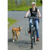 Sykkelfeste Springer til hund Flamingo Sykkelfeste Springer til hund Flamingo