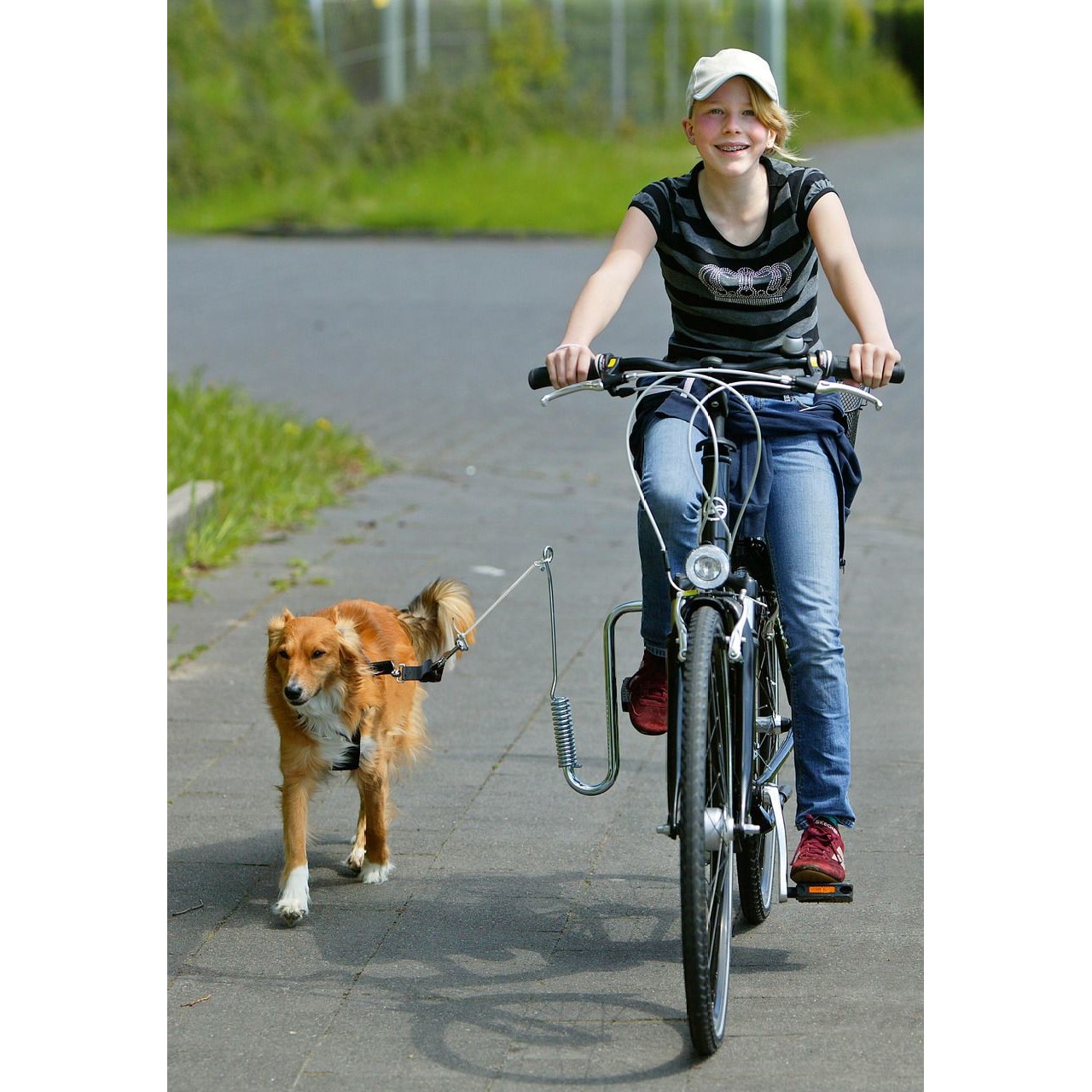 Sykkelfeste Springer til hund Flamingo Sykkelfeste Springer til hund Flamingo
